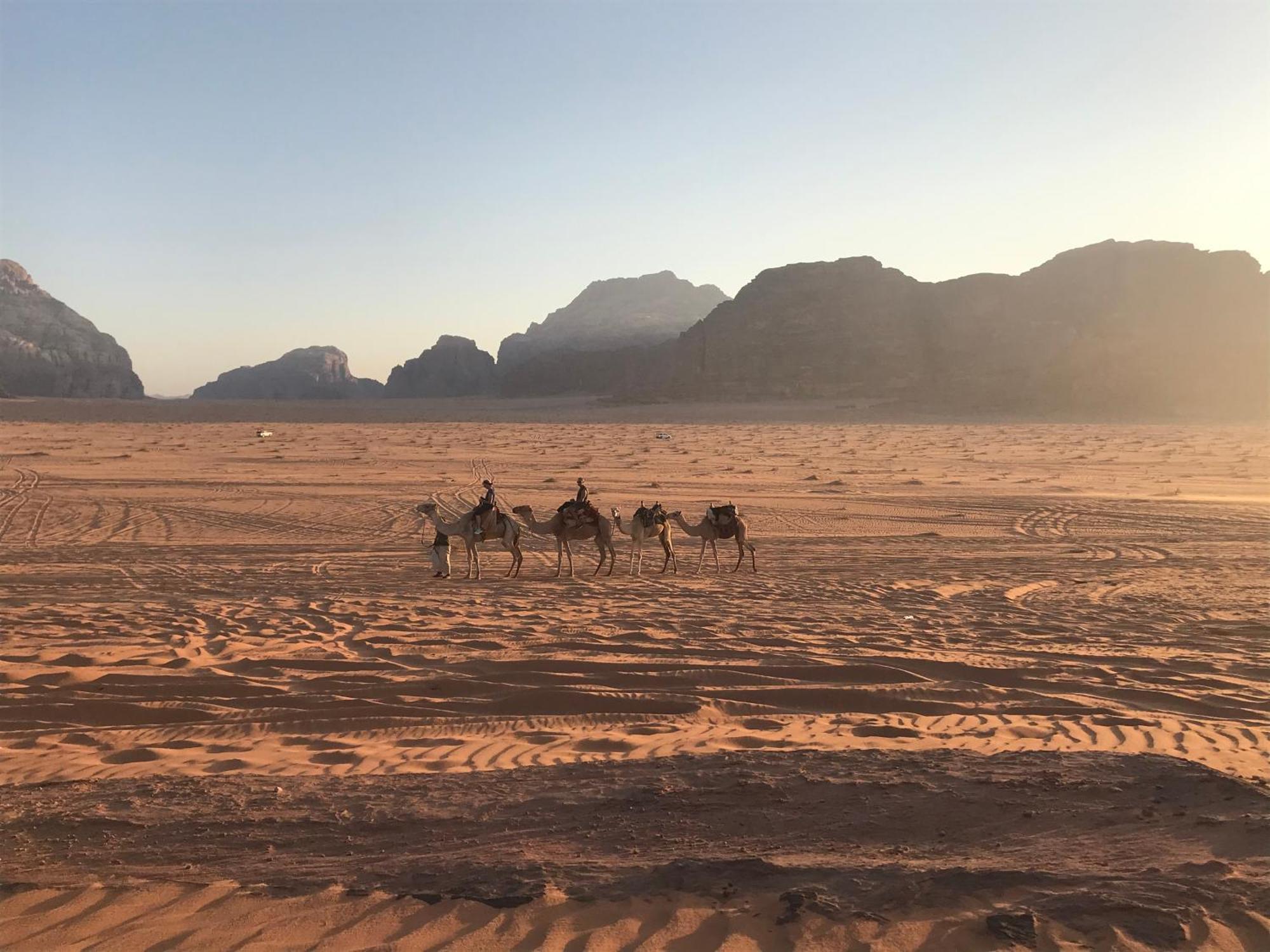 Wadi Rum Desert Secret Camp Eksteriør bilde