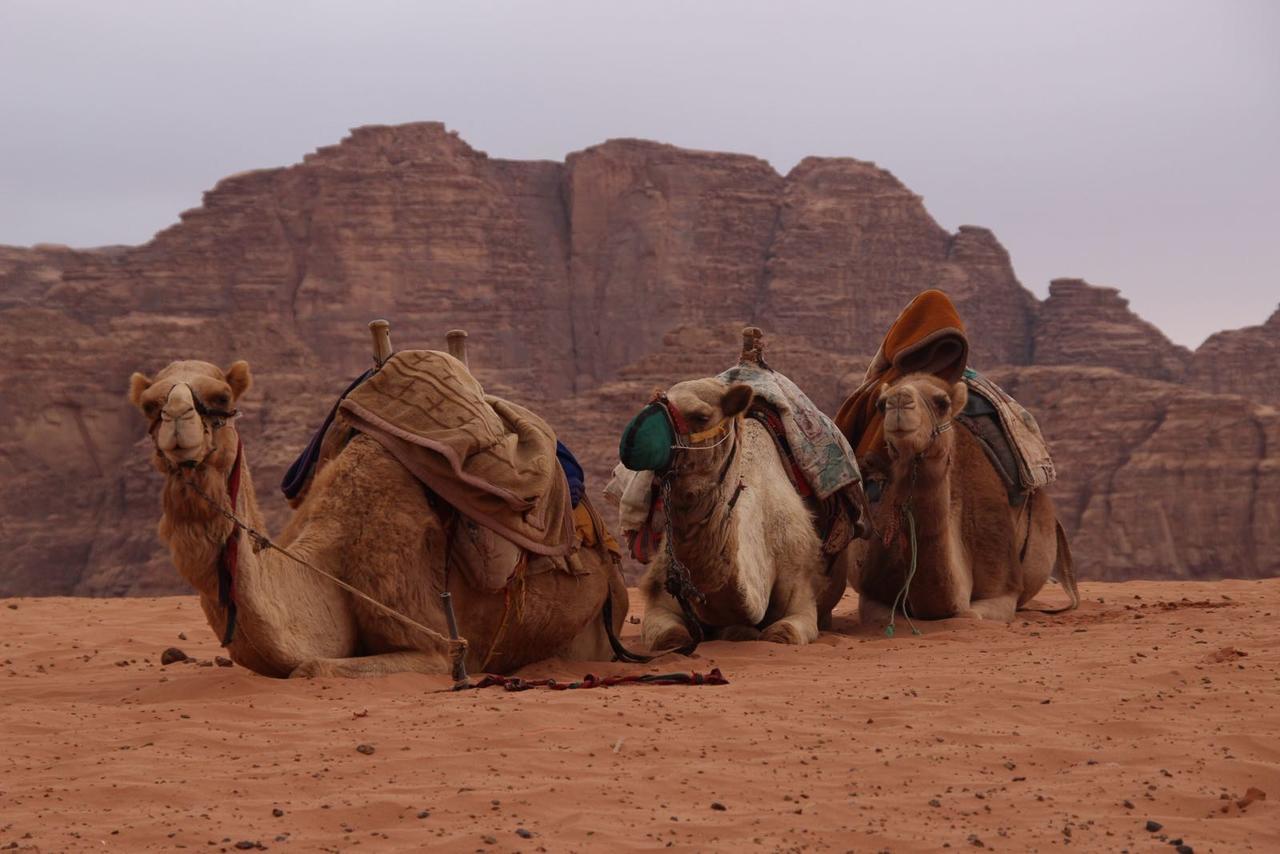 Wadi Rum Desert Secret Camp Eksteriør bilde