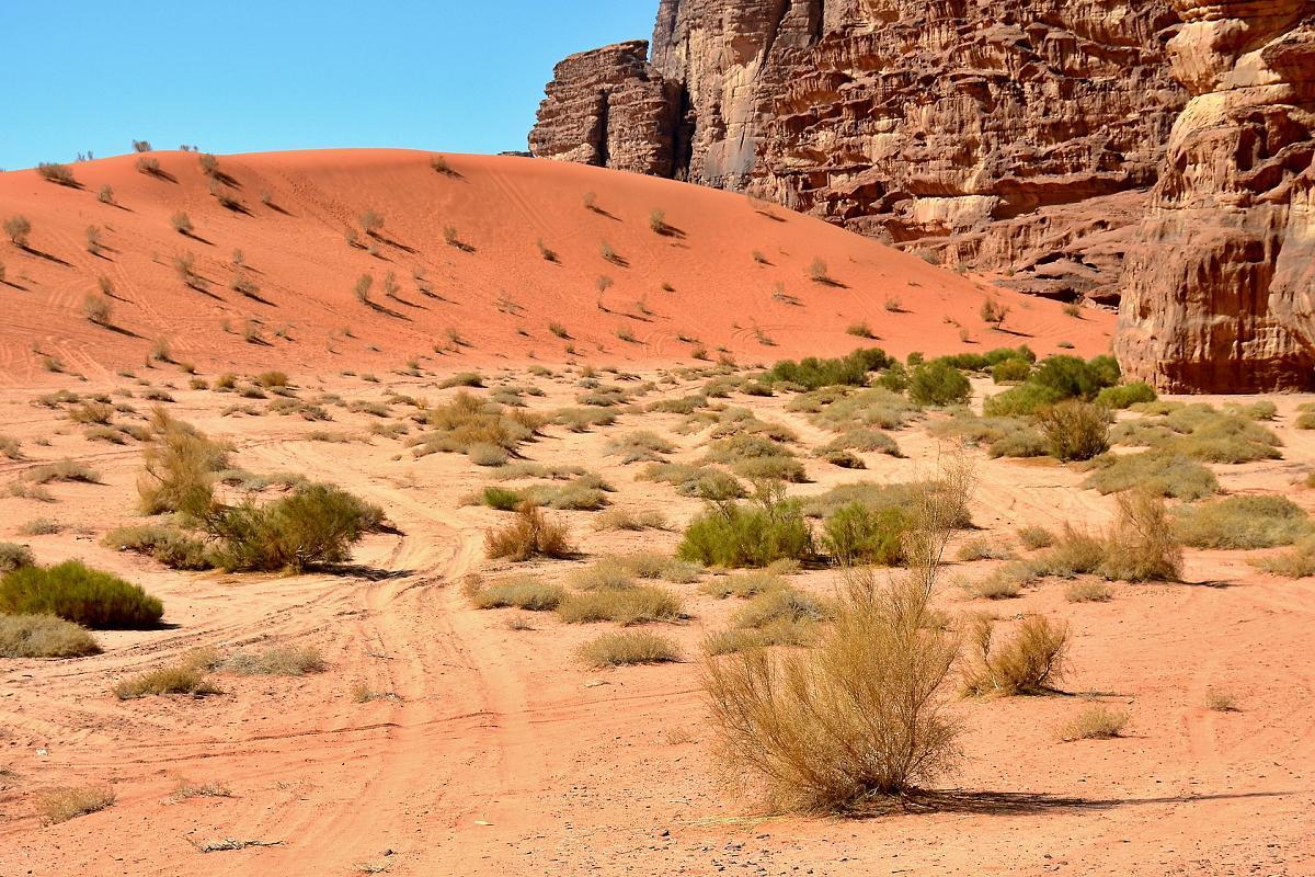 Wadi Rum Desert Secret Camp Eksteriør bilde